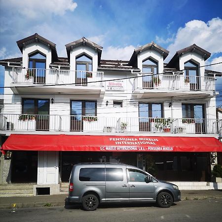 Pensiunea Mikelis International Hotel Curtea De Arges Ngoại thất bức ảnh