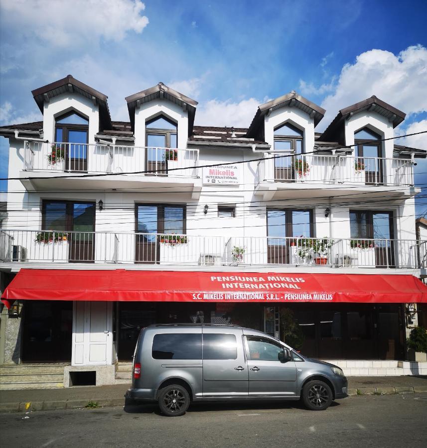 Pensiunea Mikelis International Hotel Curtea De Arges Ngoại thất bức ảnh