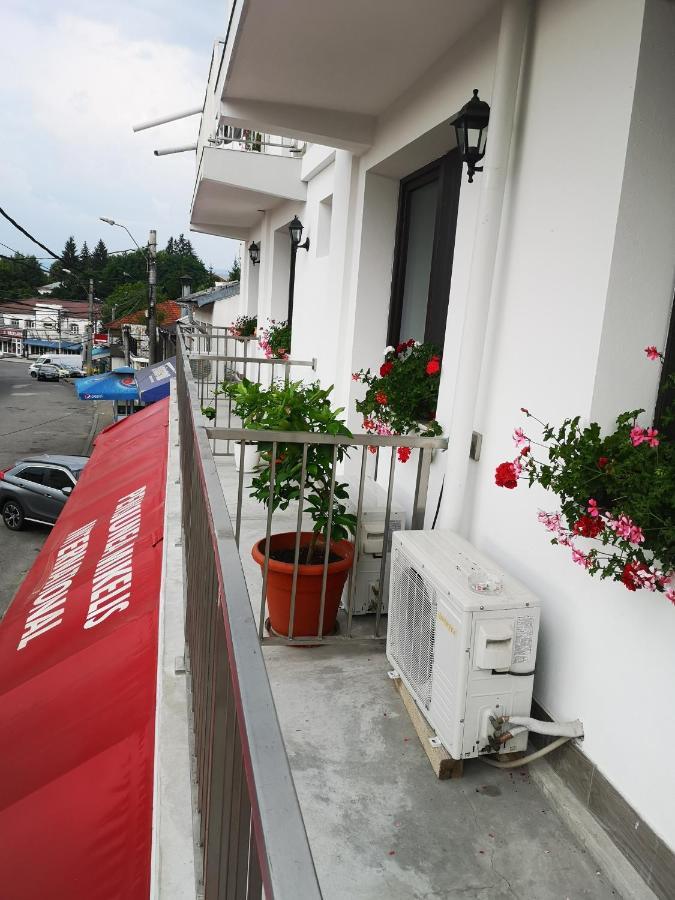 Pensiunea Mikelis International Hotel Curtea De Arges Ngoại thất bức ảnh